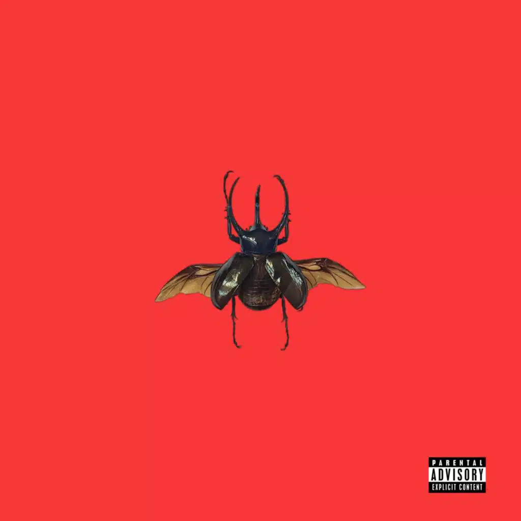 BEETLE DIARIES