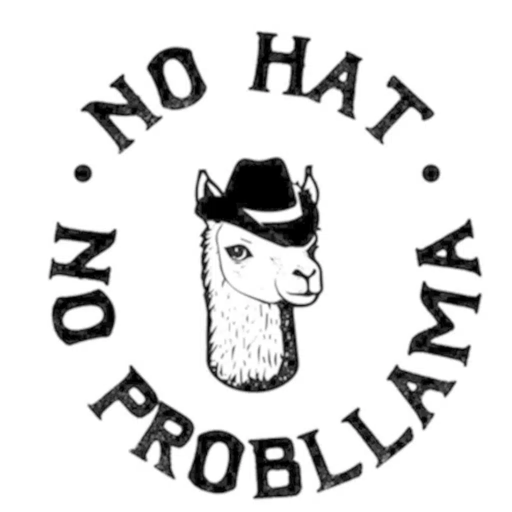 Allan and Carly Are Heading to (New) YORK Fashion Week!