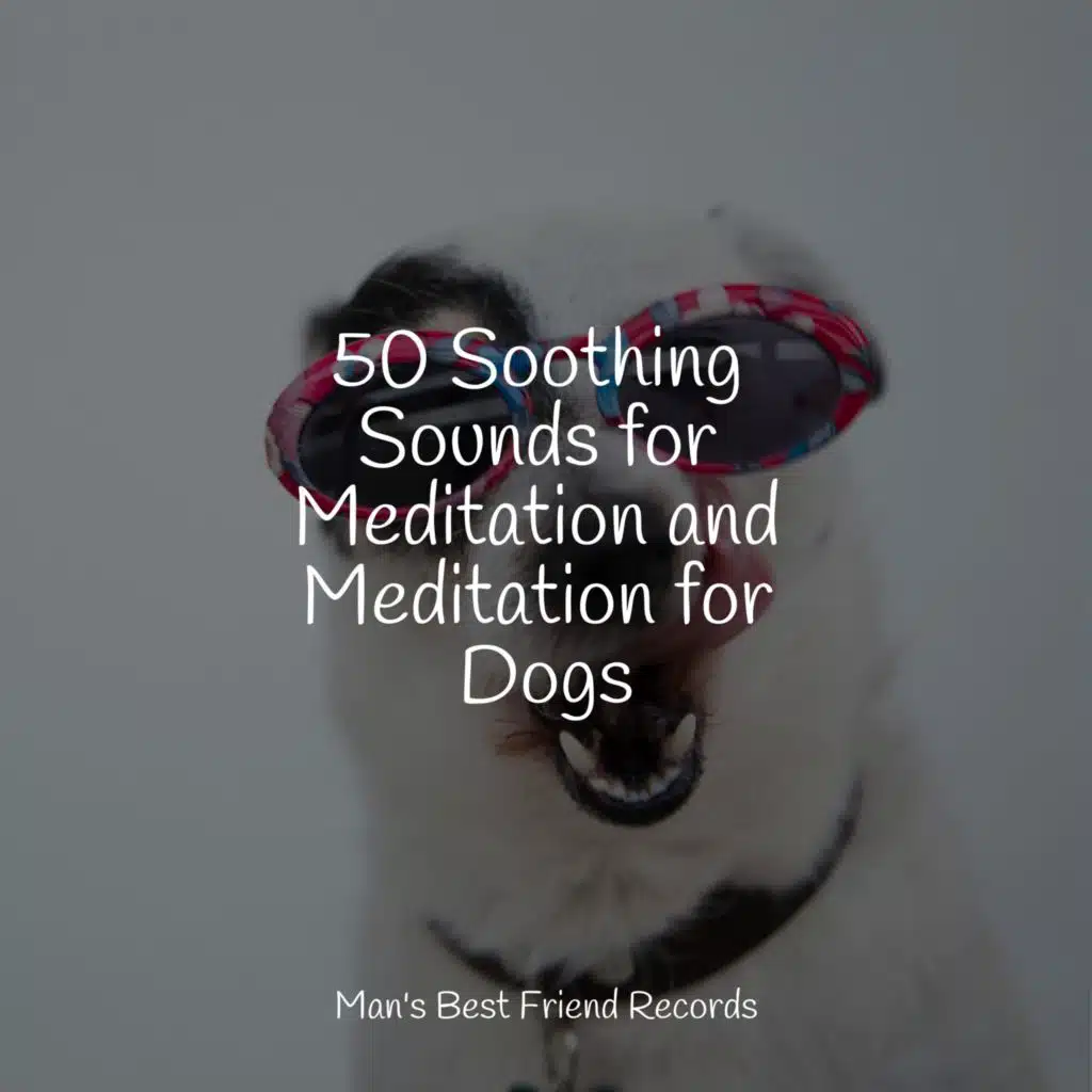 Sleep Music For Dogs, Dog Music & Deep Sleep