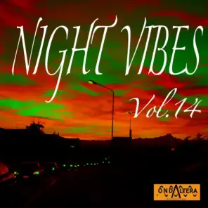Night Vibes, Vol. 14