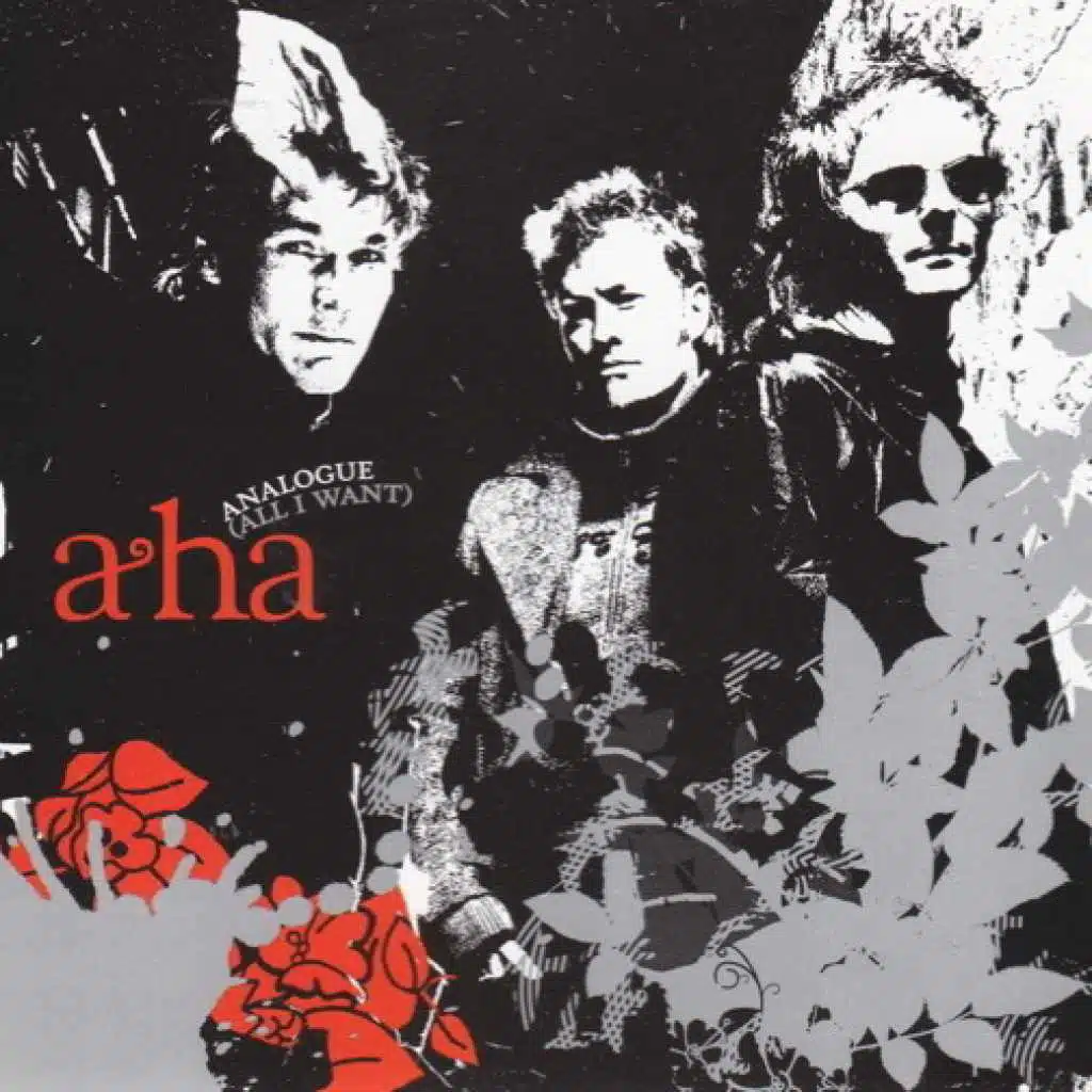 Analogue (All I Want) - Live at Frognerparken