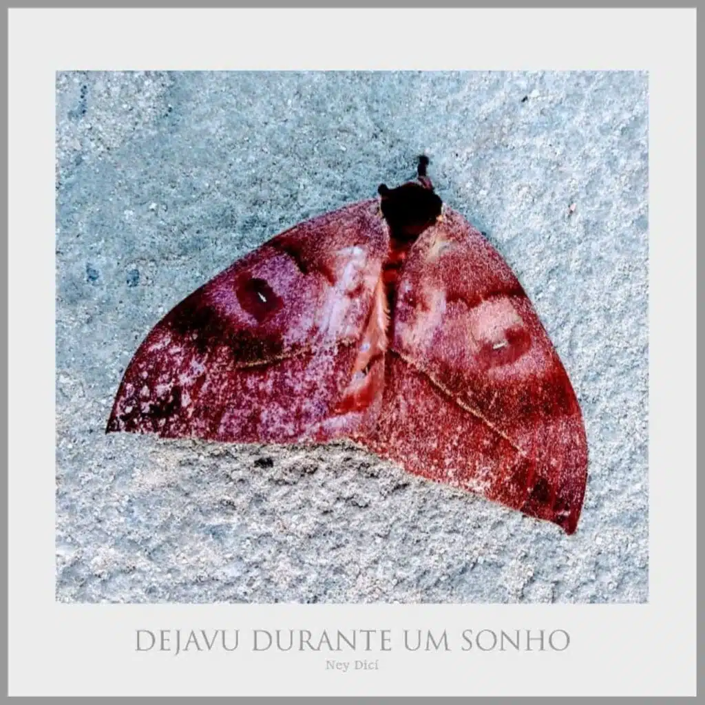 Dejavu Durante Um Sonho