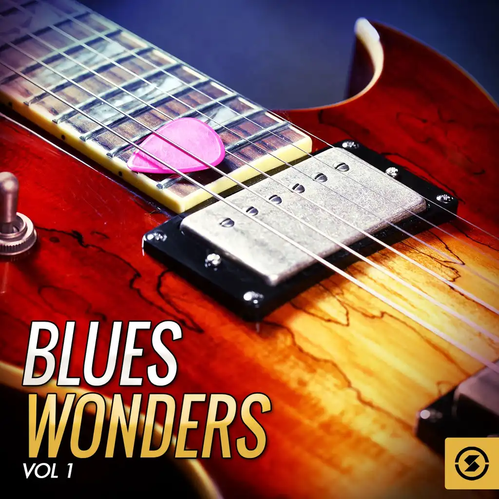 Blues Wonders, Vol. 1