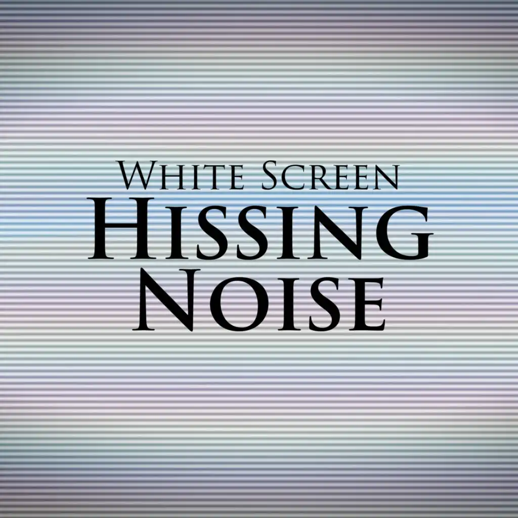 White Noise Universe