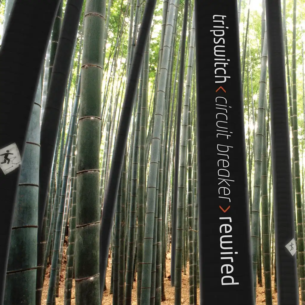 Roll Your Own (Youth vs Subsonar Remix)