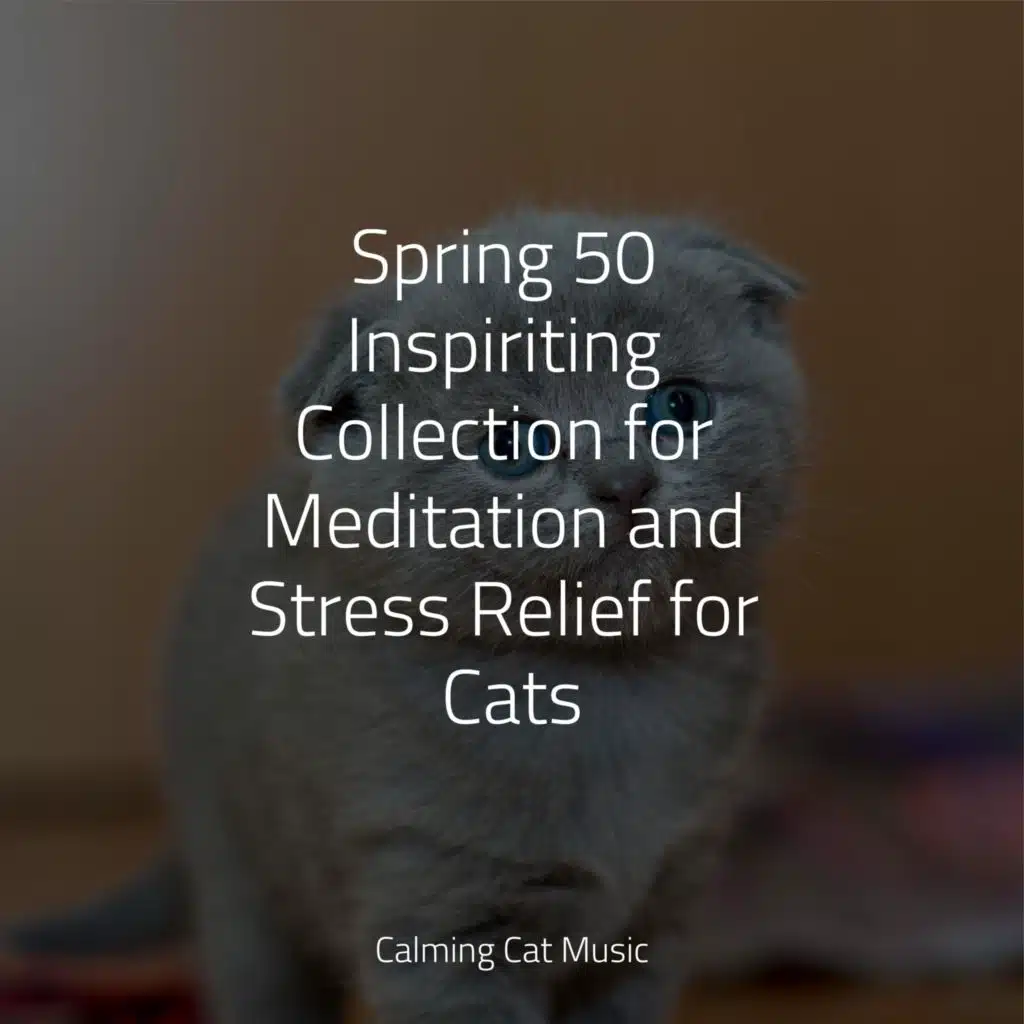 Spring 50 Inspiriting Collection for Meditation and Stress Relief for Cats