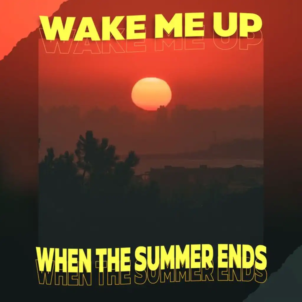 Wake Me Up When The Summer Ends