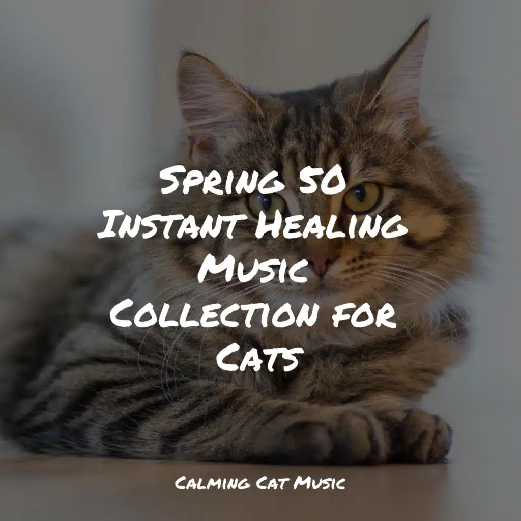Spring 50 Instant Healing Music Collection for Cats