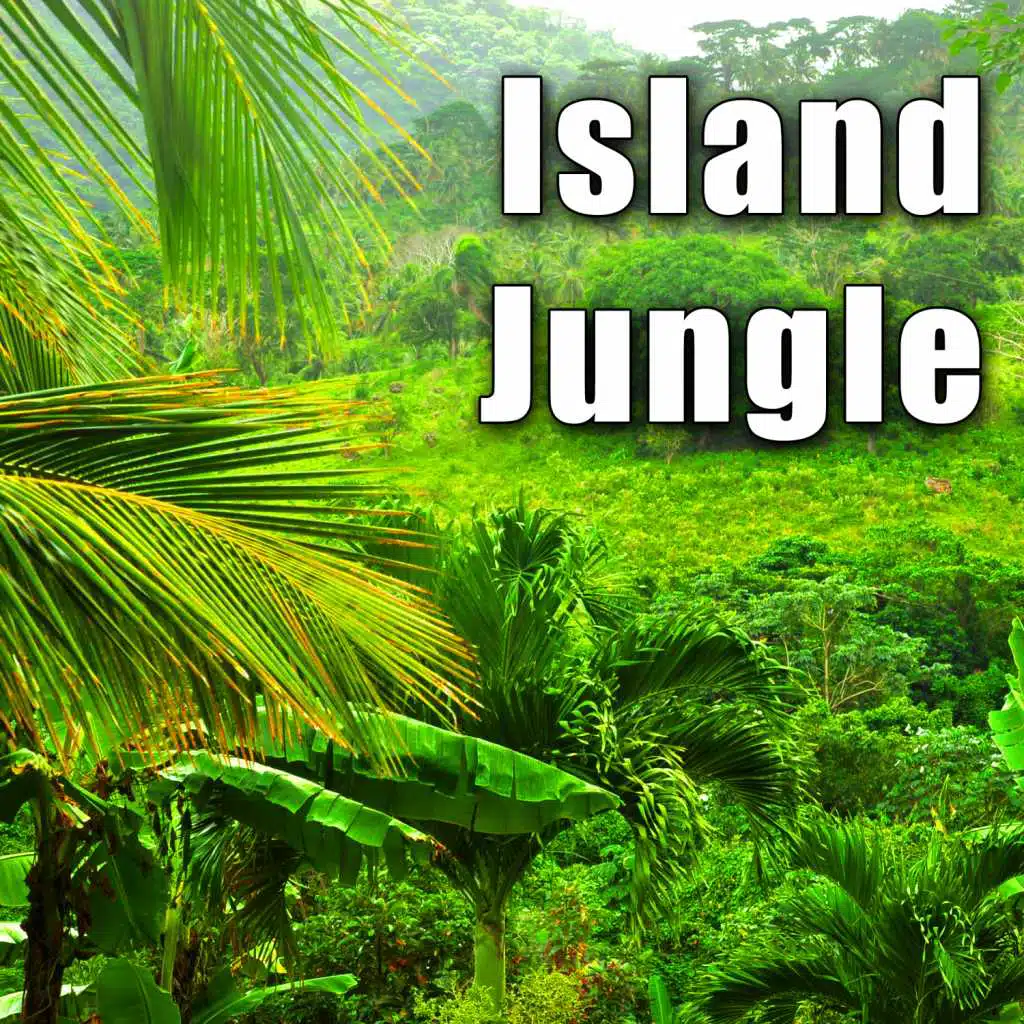 Exotic Island Oasis Wild Life Chatter