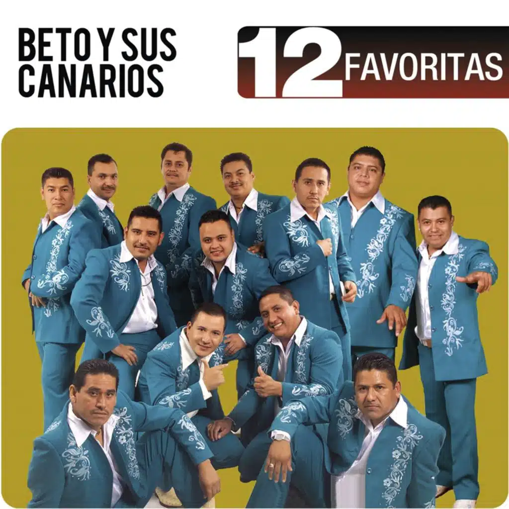 Nunca Te Olvidaré