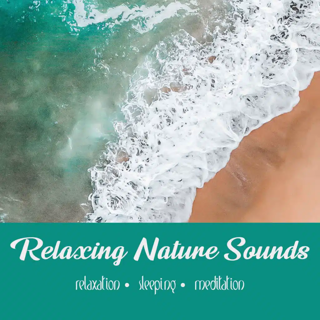 By the Sea (for sleep) | 3 Hour