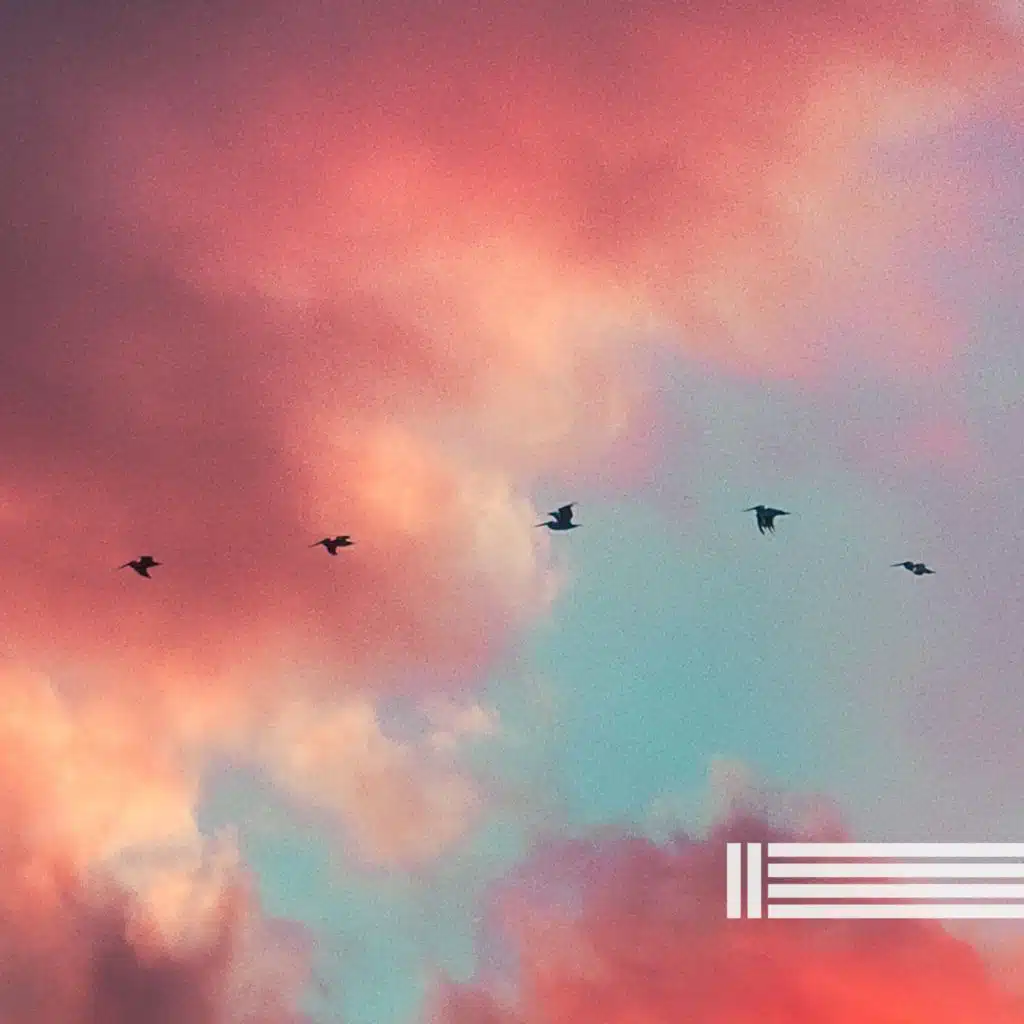 Soft & Still Nature Sounds
