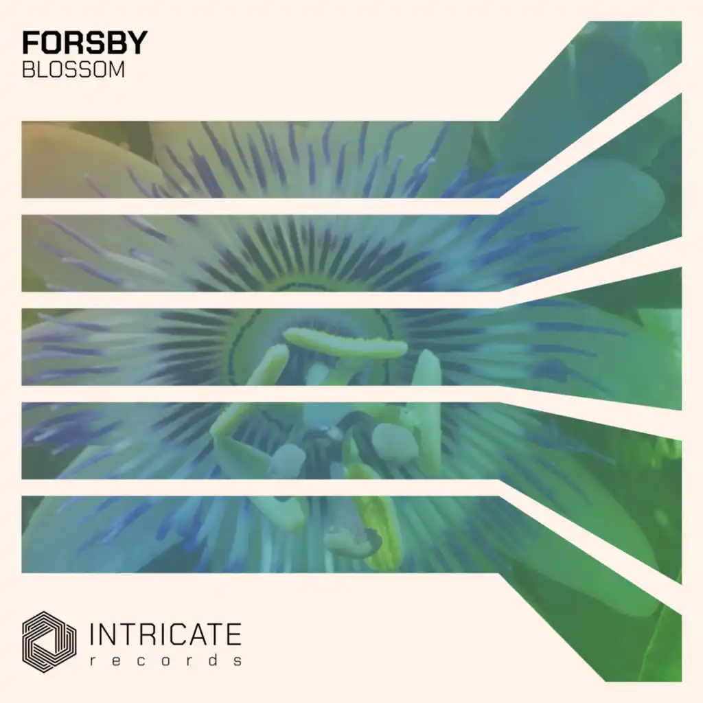 FORSBY