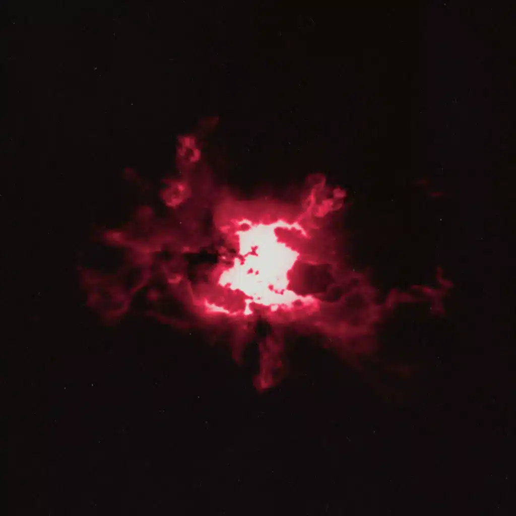 Ronny J & Wiz Khalifa