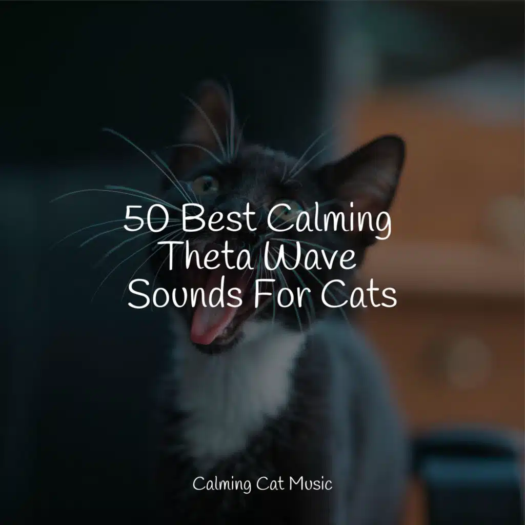 50 Best Calming Theta Wave Sounds For Cats