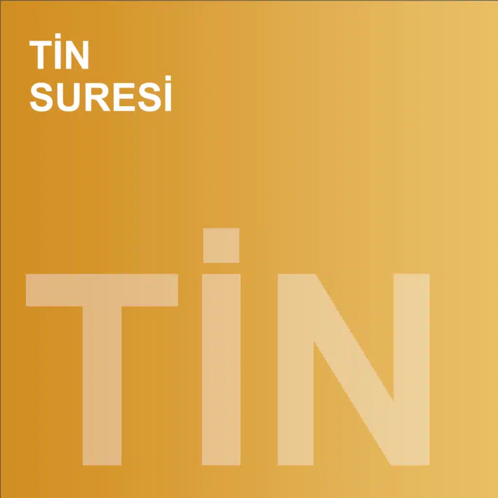 Tin Suresi (feat. Muhammed Mekin Kayaş)