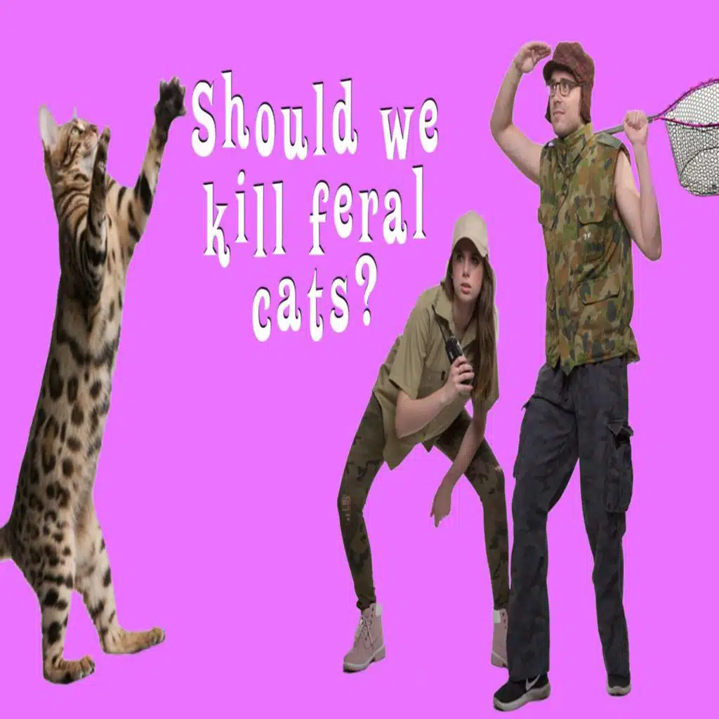 Carl's PICK — Should we kill feral cats?