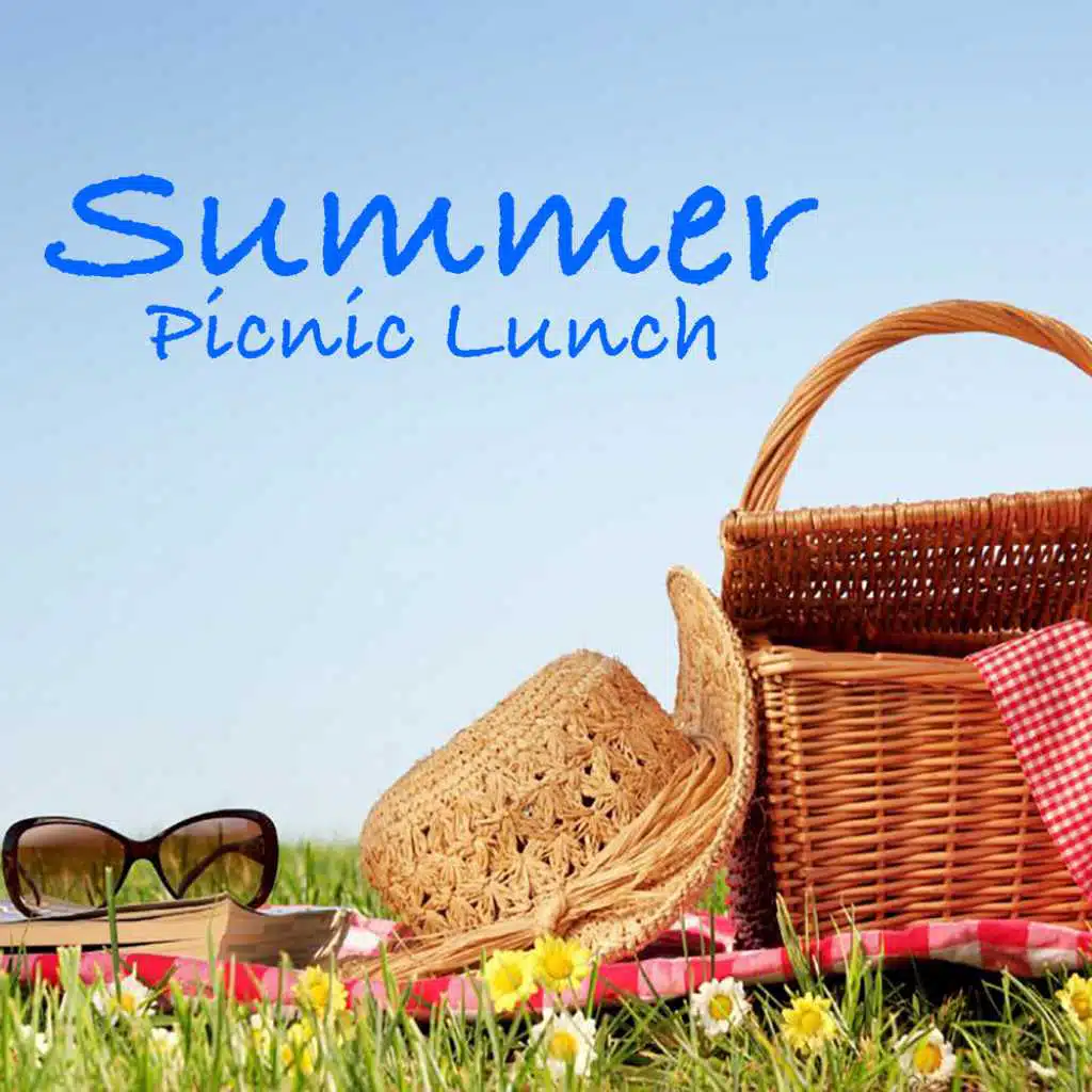 Summer Picnic Lunch