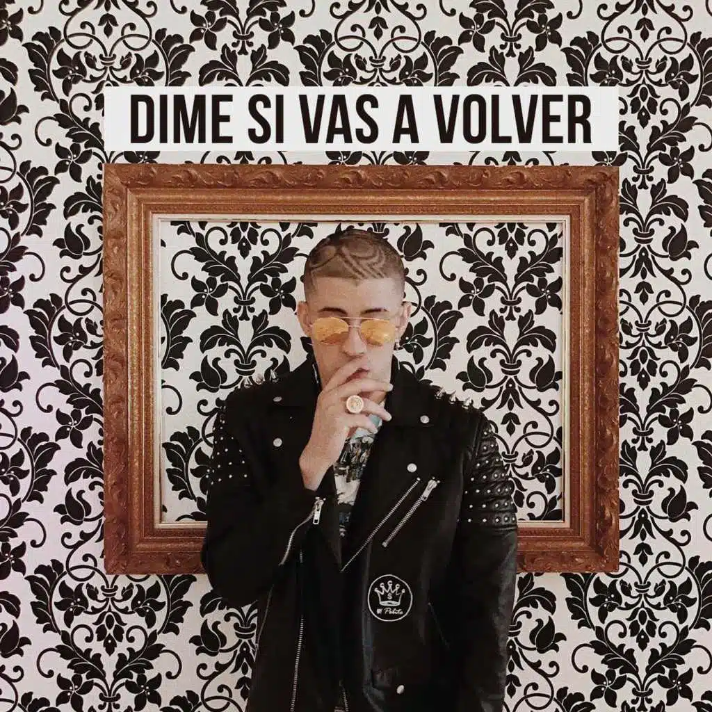 Dime Si Vas a Volver