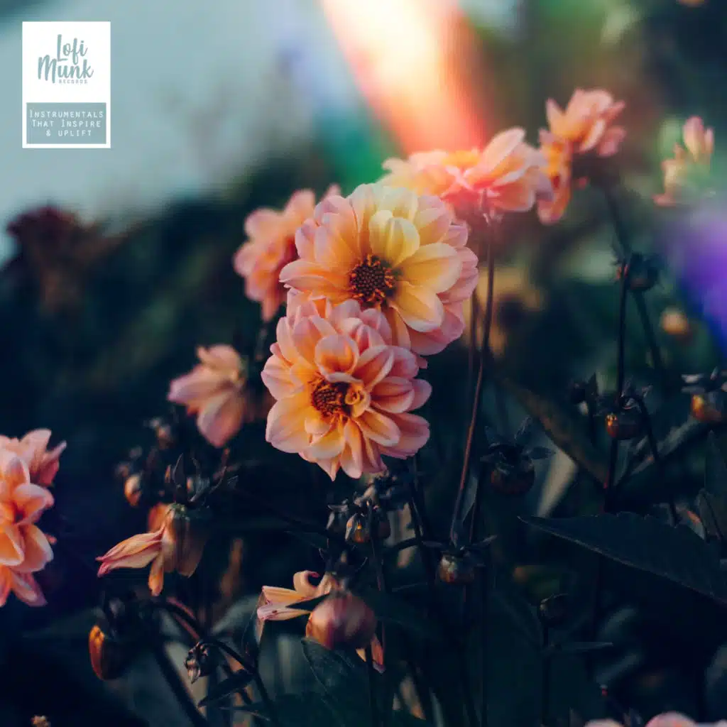 In Bloom (feat. Moikrasavchik)