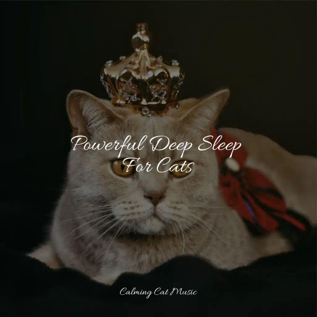 Powerful Deep Sleep For Cats