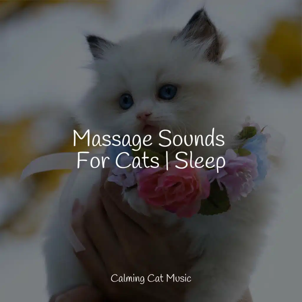 Massage Sounds For Cats | Sleep