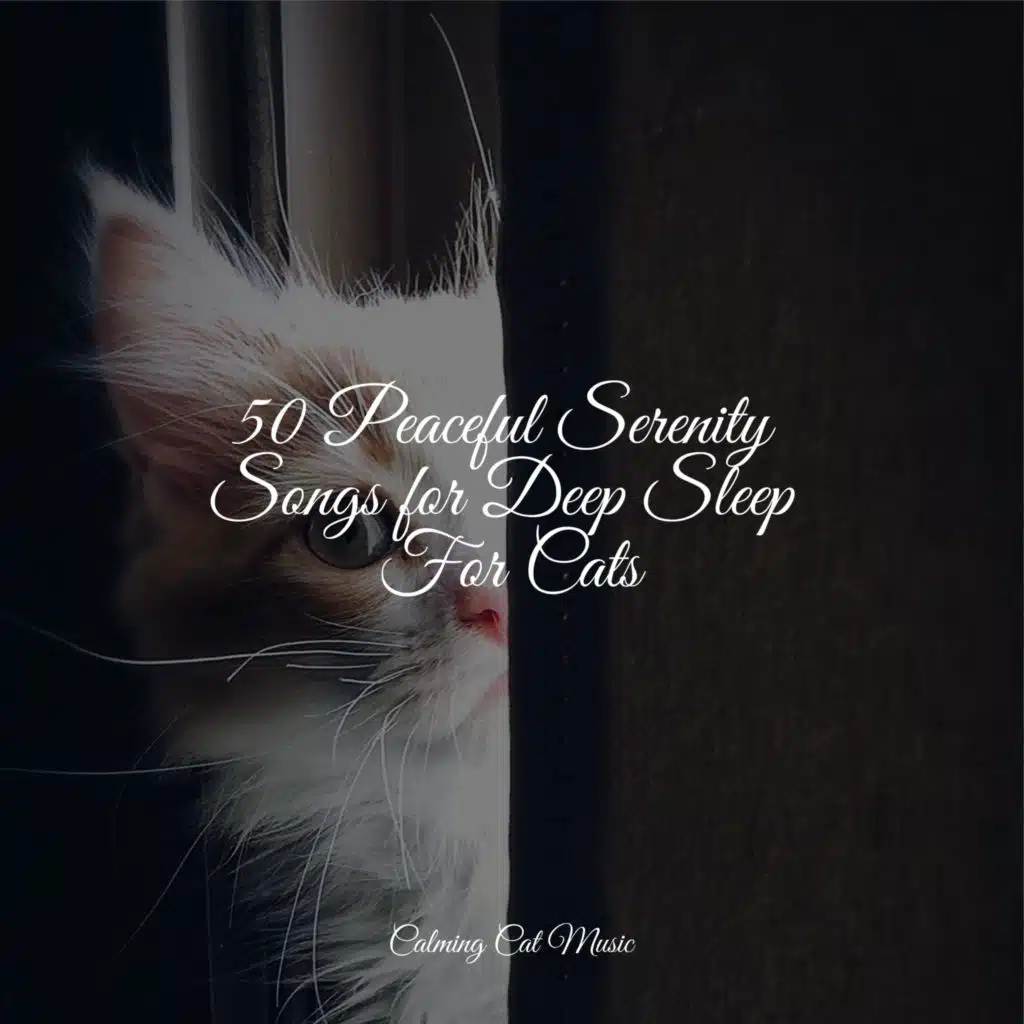 50 Peaceful Serenity Songs for Deep Sleep For Cats