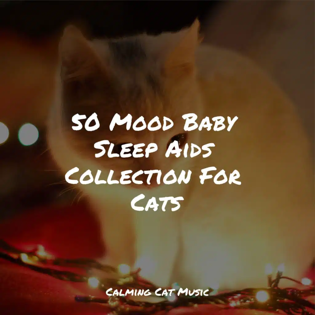 50 Mood Baby Sleep Aids Collection For Cats