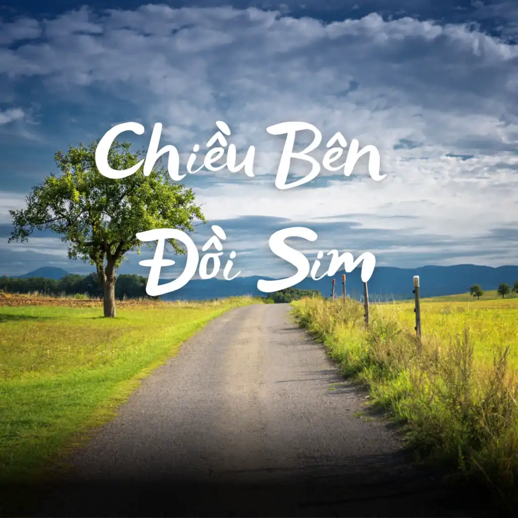 Chiều Bên Đồi Sim