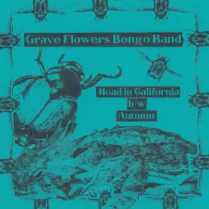 Grave Flowers Bongo Band