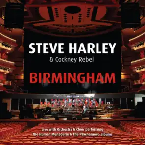 Birmingham - Live with Orchestra & Choir