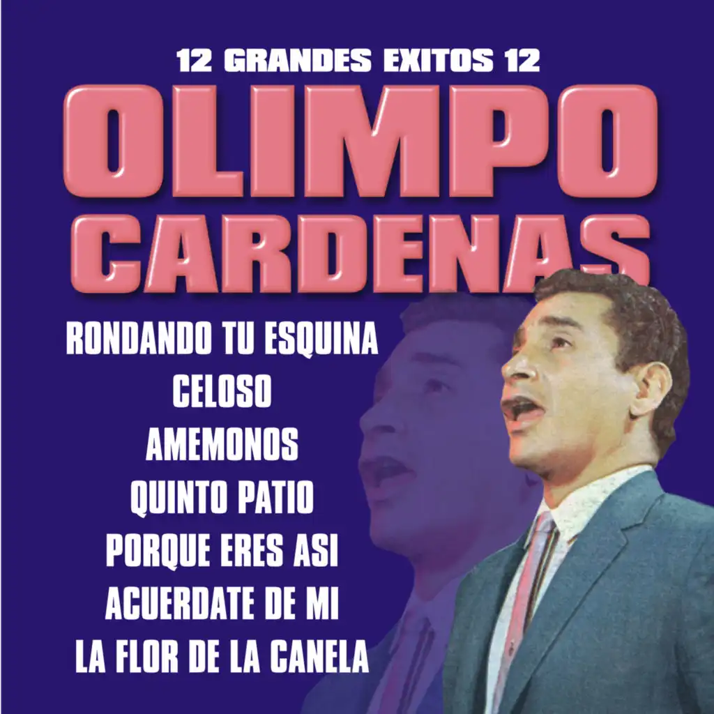 12 Grandes Exitos