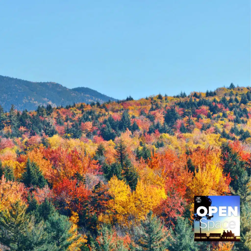 A Listen Back at 2023 So Far — Episode 142