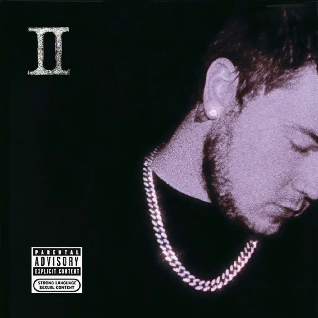 The Ville's Finest II