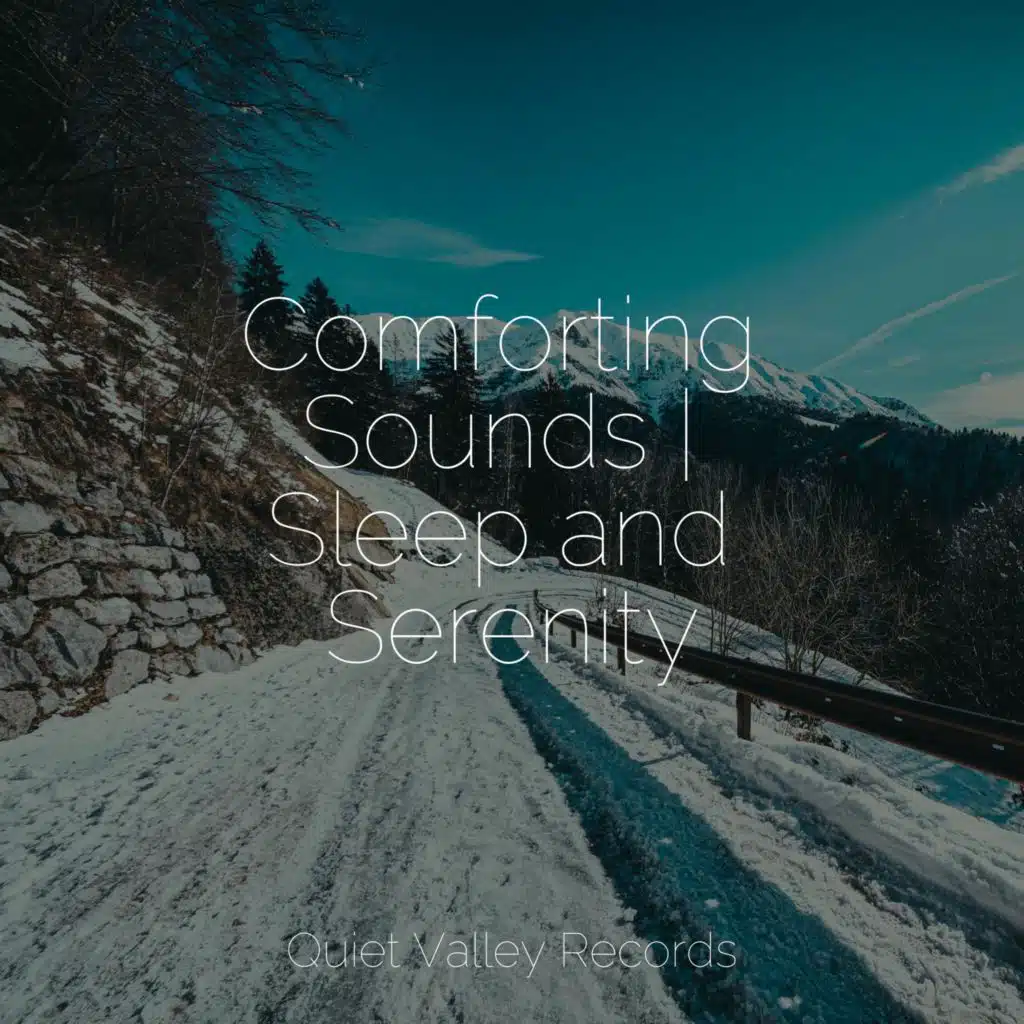 Comforting Sounds | Sleep and Serenity