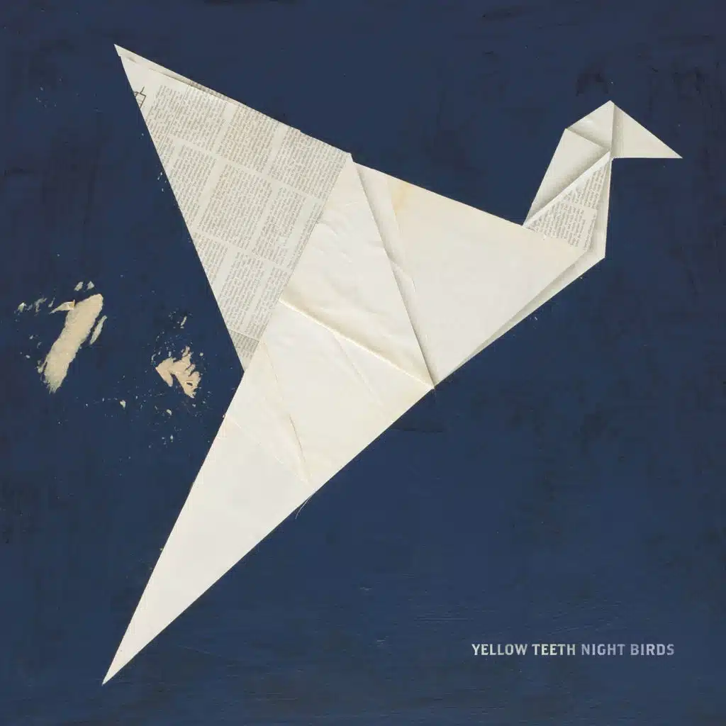 Night Birds