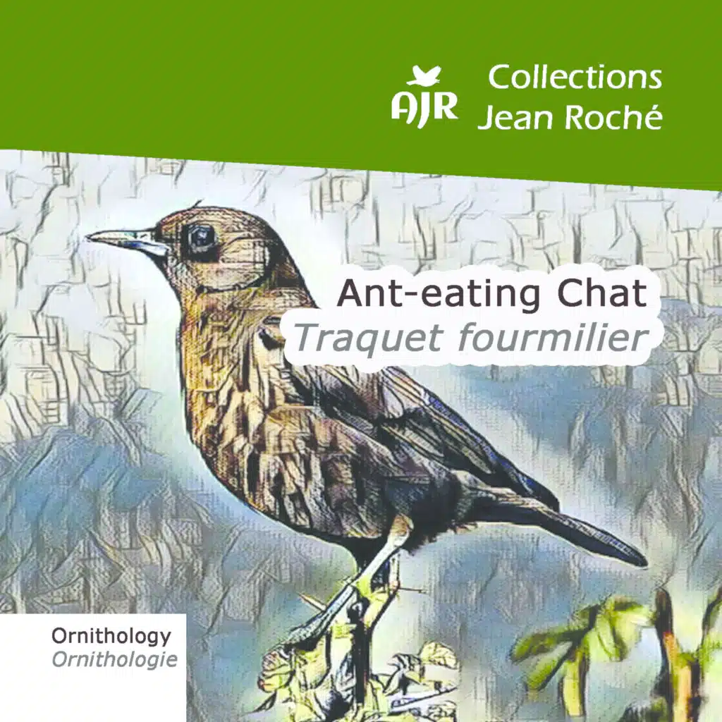 Jean Roché