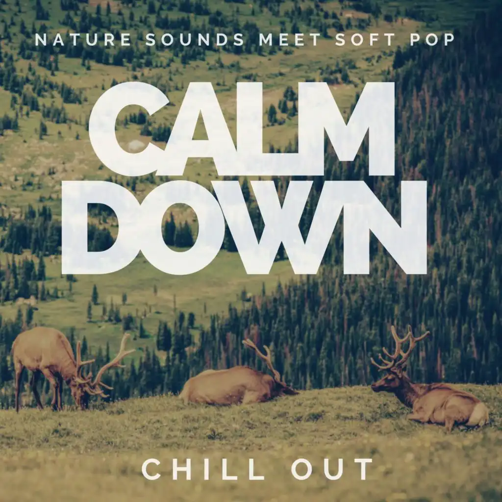 Nature Sounds meet Soft Pop - Calm Down - Chill Out