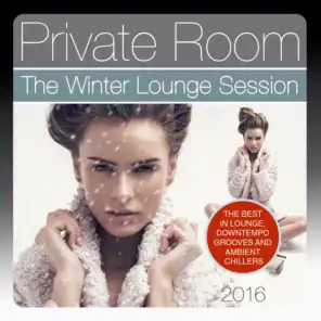 Private Room, the Winter Lounge Session 2016 (The Best in Lounge, Downtempo Grooves and Ambient Chillers)