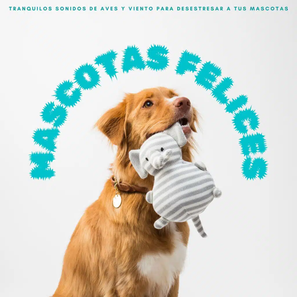 Mascotas Felices: Tranquilos Sonidos De Aves y Viento Para Desestresar A Tus Mascotas