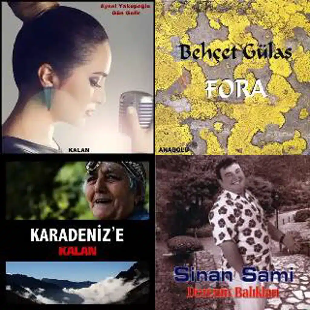 Sen Anlat Karadeniz Dizi Müzikleri [Imported]