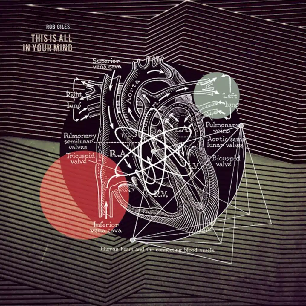 This Is All in Your Mind