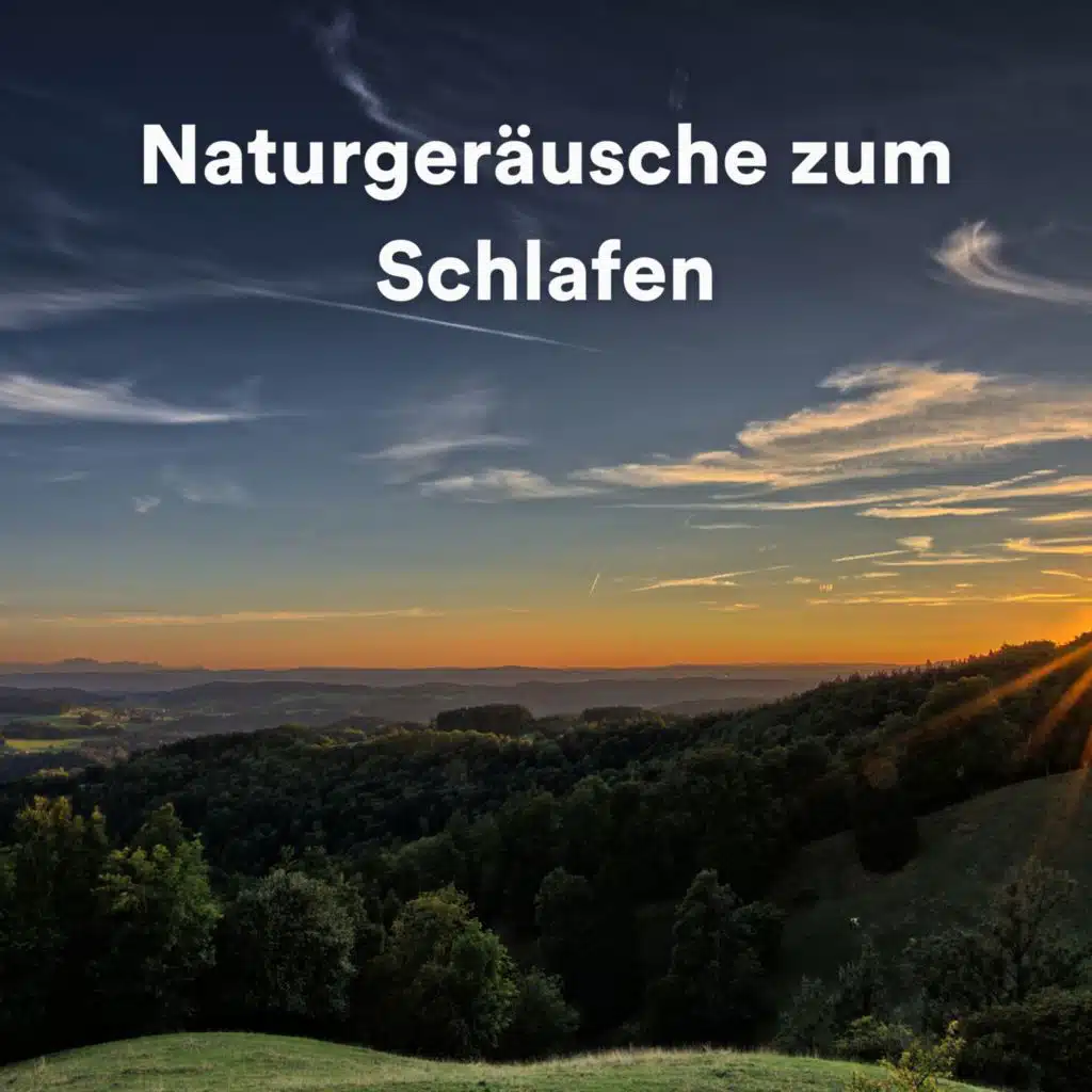 Waldgeräusche, Heilende Geräusche Der Natur Academie & Naturgeräusche