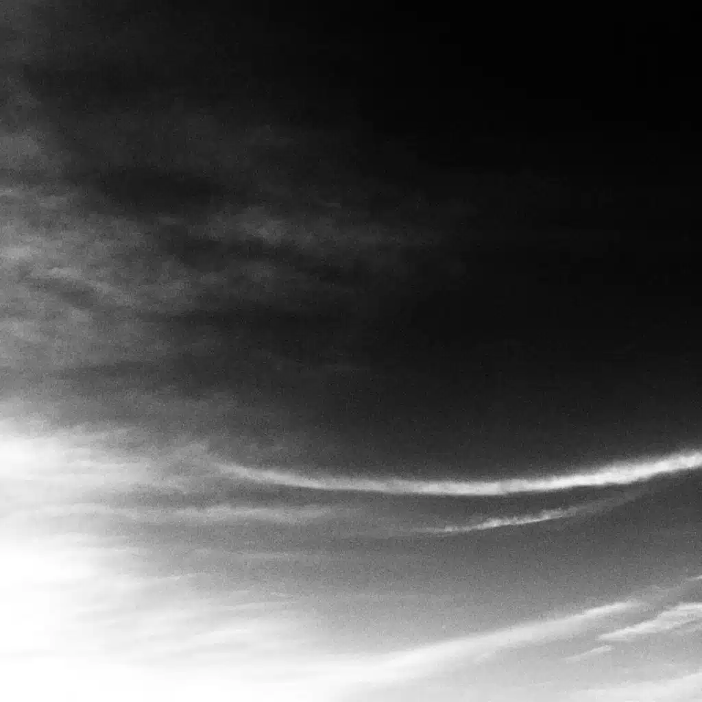 A Field Guide to Nowhere