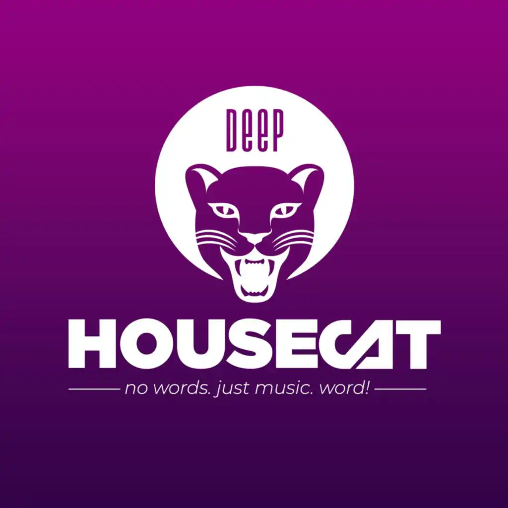 Deep House Cat