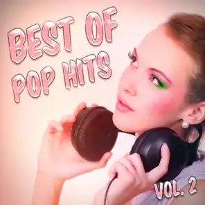 Best of Pop Hits, Vol. 2