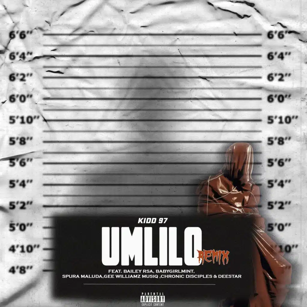 Umlilo (Remix) [feat. Bailey RSA, Babygirlmint, Spura maluda, Gee Williamz Musiq, Chronic Disciples & Deestar]