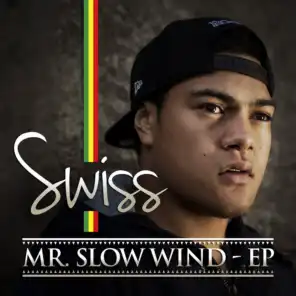 Mr. Slow Wind
