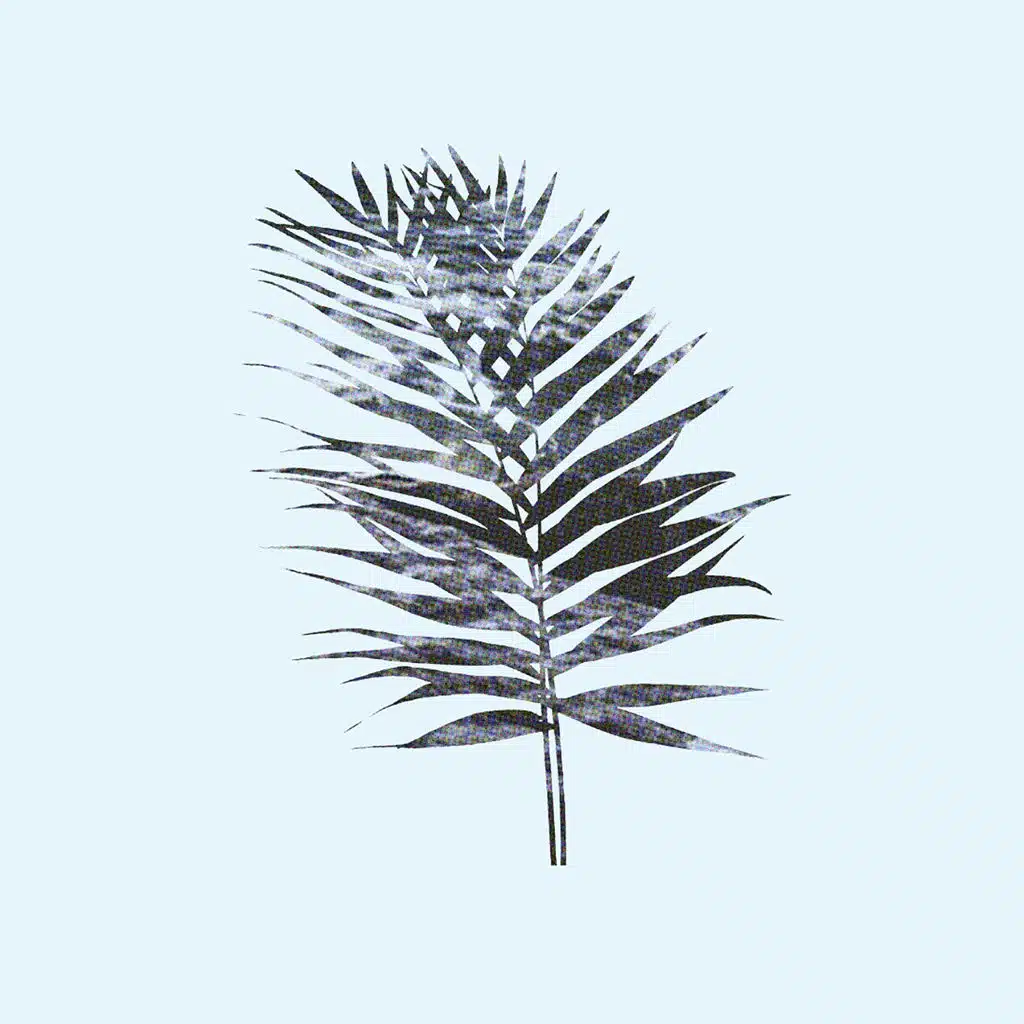 Fear Flew Away in Little Pieces of Light