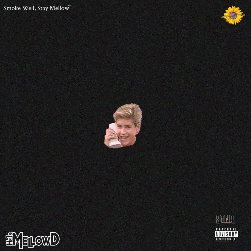 ZMD